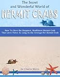 The Secret & Wonderful World of Hermit Crabs - How To Have the Happiest, Healthiest Hermit Crab That Lives Twice As Long As the Average Pet Hermit The Secret & Wonderful World of Hermit Crabs - How To Have the Happiest, Healthiest Hermit Crab That Lives Twice As Long As the Average Pet Hermit