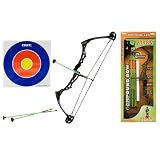Nxt Generation Boys Compound Bow with 3 Arrows and Target