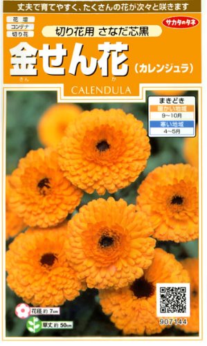 キンセンカ（カレンジュラ）　切り花用 さなだ芯黒　種子 [サカタのタネ]