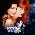 Zauberhafte Schwestern (Practical Magic)