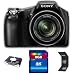 Sony Cyber-shot DSC-HX100V HX100 Digital Camera (Black) + 8GB SDHC Memory Card + Card Reader + Memory Card Wallet Kit
