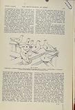 伝書鳩スポーツの鳥の社説の百科事典 伝書鳩
