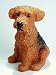 Hund Fox Terrier mit Bewegungsmelder 