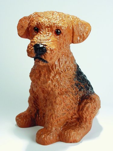 Hund Fox Terrier mit Bewegungsmelder 