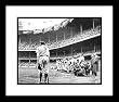 Babe Ruth New York Yankees MLB Framed 8x10 Photograph Yankee Stadium Farewell