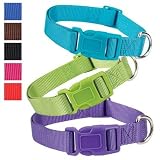 Zack & Zoey 14 to 20-Inch Nylon Dog Neck Collar, Raspberry Sorbet