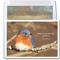 Wintering Bluebird - New Year Holiday Cards, Box of 10 cards and envelopes