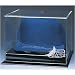 Tampa Bay Devil Rays MLB Baseball Cap Display Case