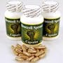 3 Bottles of Broccoli Sprout Capsules w/ Sulforaphane - Premium Brocolli Sprouts Herbal Supplements - 250 Mg. 30 Count Per Bottle