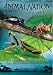 Animal Nation - World's Biggest Bugs [DVD]