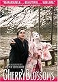 Cherry Blossoms