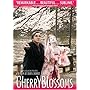 Cherry Blossoms