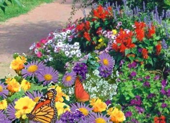 Garden Butterfly Mat - Instant Garden, Roll N Grow - Seeded Mat - Just Roll and Grow! Instant Flower Garden - (Easy & Hassle Free!) - Grow Flowers Quickly & Easily! Garden Butterfly Mat - Instant Garden, Roll N Grow - Seeded Mat - Just Roll and Grow! Instant Flower Garden - (Easy & Hassle Free!) - Grow Flowers Quickly & Easily!