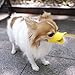Pecute Pet Protection Dog Silicone Duck Bill Design Muzzle Adjustable Poodle Face Lip Mouth Duckbill Muzzle No Bite No Bark (Small)