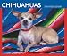 Chihuahuas 2008 Boxed Calendar