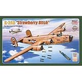 1/72 B-24D "Strawberry bitch"