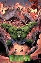 Incredible Hulk Marvel Comics 22x34 Collections Poster Print, 22x34 Poster Print, 22x34