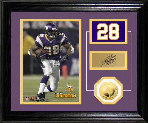 Highland Mint NFL Minnesota Vikings Adrian Peterson Player Pride Desk Top Photomint