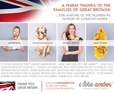 Low cost  Amber Teething Necklace