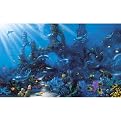 Dolphin Wall Mural - 8'3