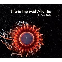 Life in the Mid Atlantic