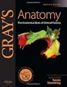 Gray's Anatomy