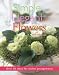 Simple Elegant Flowers: Over 30 Ideas for Stylish Arrangements