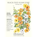 Black Eyed Susan Vine Seed - 500mg - Thunbergia