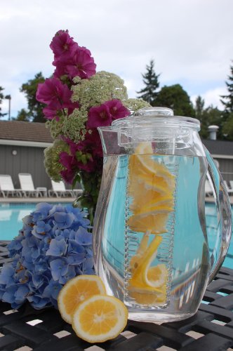 Prodyne Fruit Infusion 93-Ounce Natural Fruit Flavor Pitcher