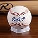 MLB Los Angeles Dodgers Team Logo Baseball
