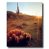 Southwestern Cactus Sunset Landscape Picture Art Print