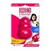 Kong Toy Lrg 4.5 In
