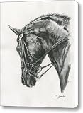 Dressage horse Canvas Print / Canvas Art - Artist Jana Goode