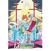 D. Gray-Man, Vol. 13