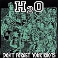 Don'T Forget Your Roots