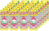 Little Trees Hanging Car and Home Air Freshener, Morning Fresh (Pack of 24) 51ePCYhHXKL. SL160 Little Trees Hanging Car and Home Air Freshener, Morning Fresh (Pack of 24)