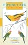 Cartes - Birds
