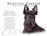 Scottish Terrier BLACK "Human Trainer" Mouse Pad Dog Mousepad