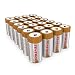 Tenergy 1.5V C Alkaline LR14 Battery, High Performance C Non-Rechargeable Batteries for Clocks, Remotes, Toys & Electronic Devices, Replacement C Cell Batteries, 24-Pack