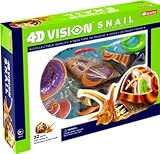 4d Vision Snail Anatomy Model Kit
