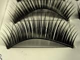 10 Pairs of Natural Long False Eye Lashes Makeup Black