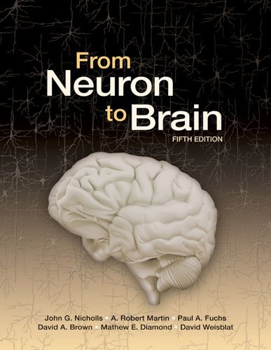 By John G. Nicholls - From Neuron to Brain: A Cellular and Molecular Approach to the Function of the Nervous System (5th edition) (1/30/12)