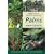 Timber Press Pocket Guide to Palms (Timber Press Pocket Guides)
