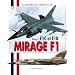 Dassault Mirage F1 Tome 1: Mirage F1c Et F1b (Les Materials De L'armee De L'air)