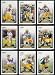 2006 Score Green Bay Packers Football Card Complete Set of 13 Cards including Brett Favre plus rookie cards of Cullen Jenkins, Abdul Hodge, Ingle Martin, Cory Roberts, and Greg Jennings.