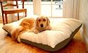 Large 36x48 Rectangle Dog Pet Bed - Khaki