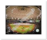 2008 Tropicana Field Tampa Bay Rays MLB Double Matted 8x10 Photograph 2008 World Series Game 1 Flag