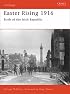 Easter Rising 1916: Birth of the Irish Republic (Campaign)