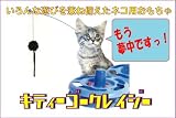 �L�e�B�[�S�[�N���C�W�[�@�d���˂�����炵