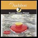 Plastic Oriole Feeder